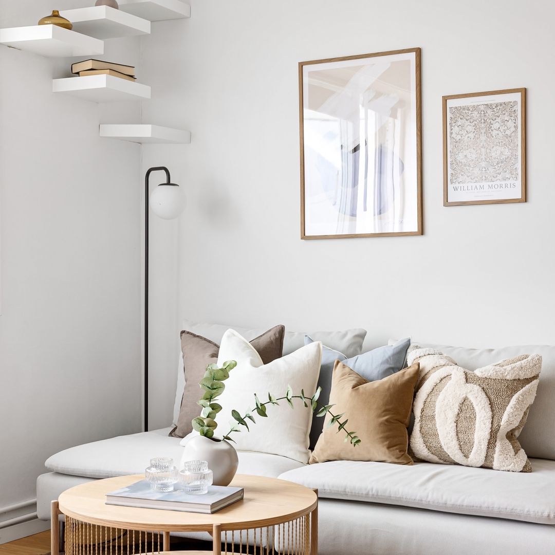 Scandinavian living room with sofa and plant
