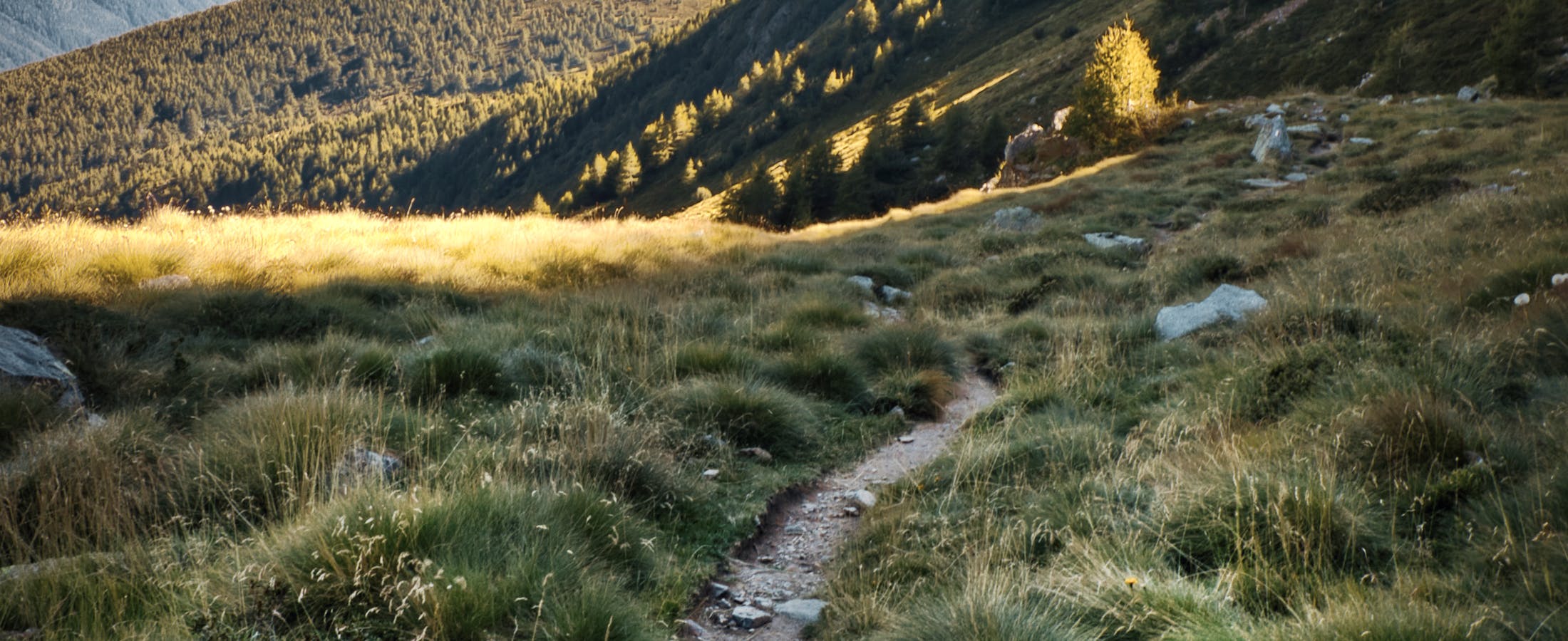 Alpine trail panorama